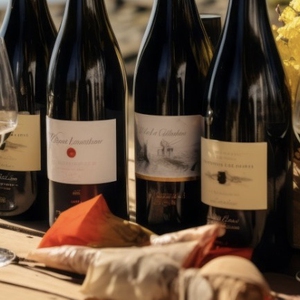 Degustacja Pod Palmami