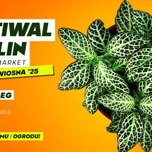 Festiwal Roślin