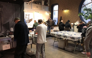 WYPRZEDAŻOWA Giełda Winyli i Płyt CD