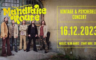 Koncert Mandrake Route.
