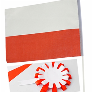 Warsztaty Patriotyczne - Muzeum - Zamek Tarnowskich w Tarnobrzegu