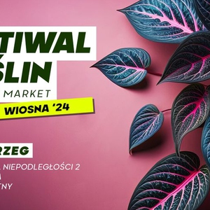 Festiwal Roślin w Tarnobrzegu- wielki market roślin w supercenach