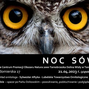 Noc Sów