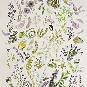 IWONA WYSZATYCKA. MOJE OGRODY - Muzeum Historyczne Miasta Tarnobrzega