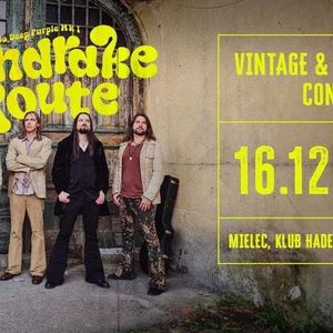 Koncert Mandrake Route.