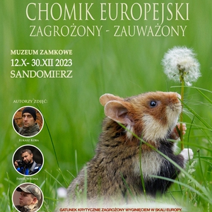 Wystawa fotograficzna Chomika Europejskiego
