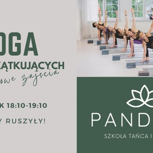 JOGA DLA POCZĄTKUJĄCYCH