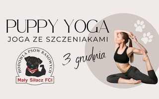 PUPPY YOGA czyli joga ze szczeniakami