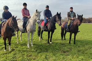 Stajnia Zwierzęcy Zakątek