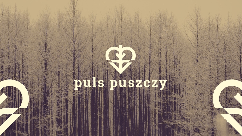 Puls Puszczy - nowy projekt Fundacji Q