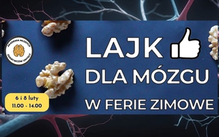 LAJK DLA MÓZGU - innowacyjne zajęcia dla nastolatków w ferie zimowe luty 2024
