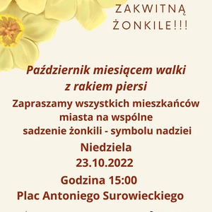 Sadzenie żonkili - miesiąc walki z rakiem