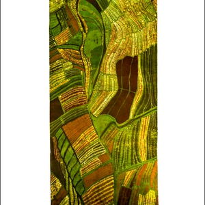 Wystawa "Woskiem i światłem"