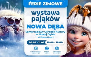 Wystawa Pająków