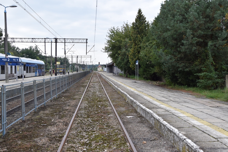 Czy linia kolejowa z Podkarpacia do CPK przebiegnie przez Tarnobrzeg?