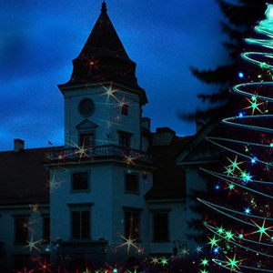 KOLĘDOWE ŚPIEWANIE w Zamku Tarnowskich