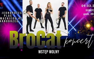 BroCat w Pubie Jednorożec