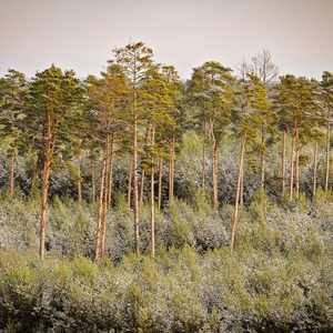 2023 LoveLas JESIENIĄ