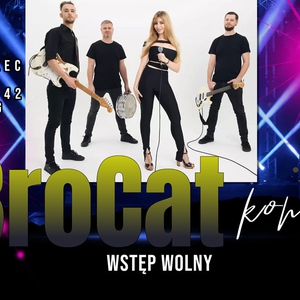 BroCat w Pubie Jednorożec
