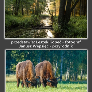 Wykład i wernisaż fotografii z Puszczy Białowieskiej