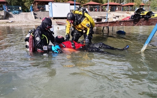 RESCUE DIVER