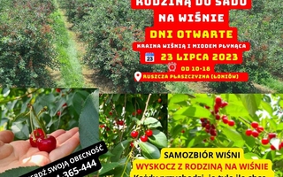 Samozbiór Wiśni w Ruszcza Płaszczyzna - Kraina Wiśnią i Miodem płynąca