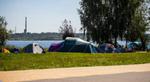 Problem z dzikimi polami namiotowymi nad Jeziorem Tarnobrzeskim zostanie rozwiązany? |
