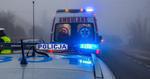 Zgon w lesie w Nowej Dębie. Policja wyjaśnia okoliczności zdarzenia