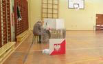 Powiat tarnobrzeski. Kto burmistrzem, wójtem a kto zasiądzie w radzie miejskiej lub radzie gminy?