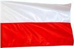 20-latek zabrał z budynku flagę państwową. Policjanci przedstawili mu zarzut