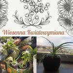 Tarnobrzeg: "Wiosenna kwiatowymiana"