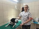 Tarnobrzeg: Dzień Psa
