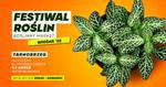 W weekend Festiwal Roślin w Tarnobrzegu |
