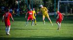 LIVE: Stal Nowa Dęba - Transdźwig Stale. Zapraszamy na transmisję (video) |