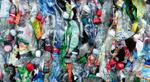 Tarnobrzeg słono ukarany za zbyt mały recykling |