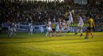 Siarka bez licencji |