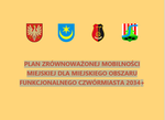 Raport z konsultacji społecznych dot. Planu Zrównoważonej Mobilności Miejskiej dla MOF Czwórmiasta 2034+