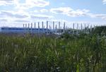 Tarnobrzeg, info z 31, 32 i 33 tygodnia roku 2025