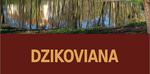 "Dzikoviana" - Rocznik Muzeum - Muzeum - Zamek Tarnowskich w Tarnobrzegu