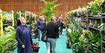 Hala MOSiR w Tarnobrzegu zamieniła się w "szklarnię". Trwa tu Festiwal Roślin [ZDJĘCIA]