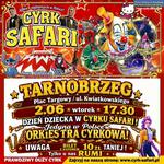 Jeden z najlepszych Cyrków w Polsce w Tarnobrzegu