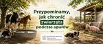 W UPAŁY PAMIĘTAJMY TAKŻE O ZWIERZĘTACH! - TVL Telewizja Lokalna Tarnobrzeg