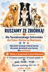 Rusza zbiórka karmy dla Tarnobrzeskiego Schroniska dla Psów i Kotów na Machowie